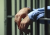 В регионе за одну ночь не досчитались  4 ульев и 15 кур